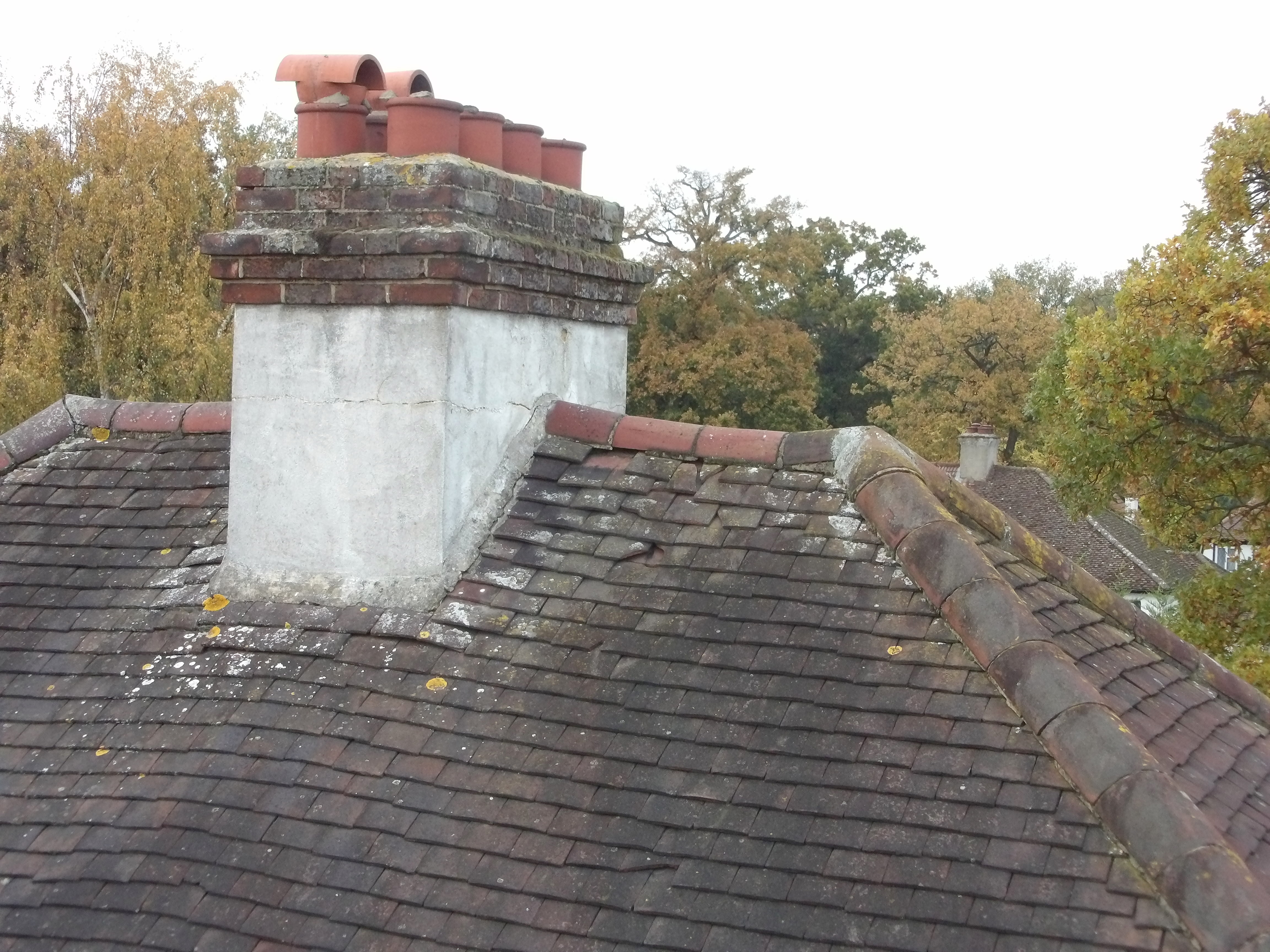 Roof and Chimney Inspection
