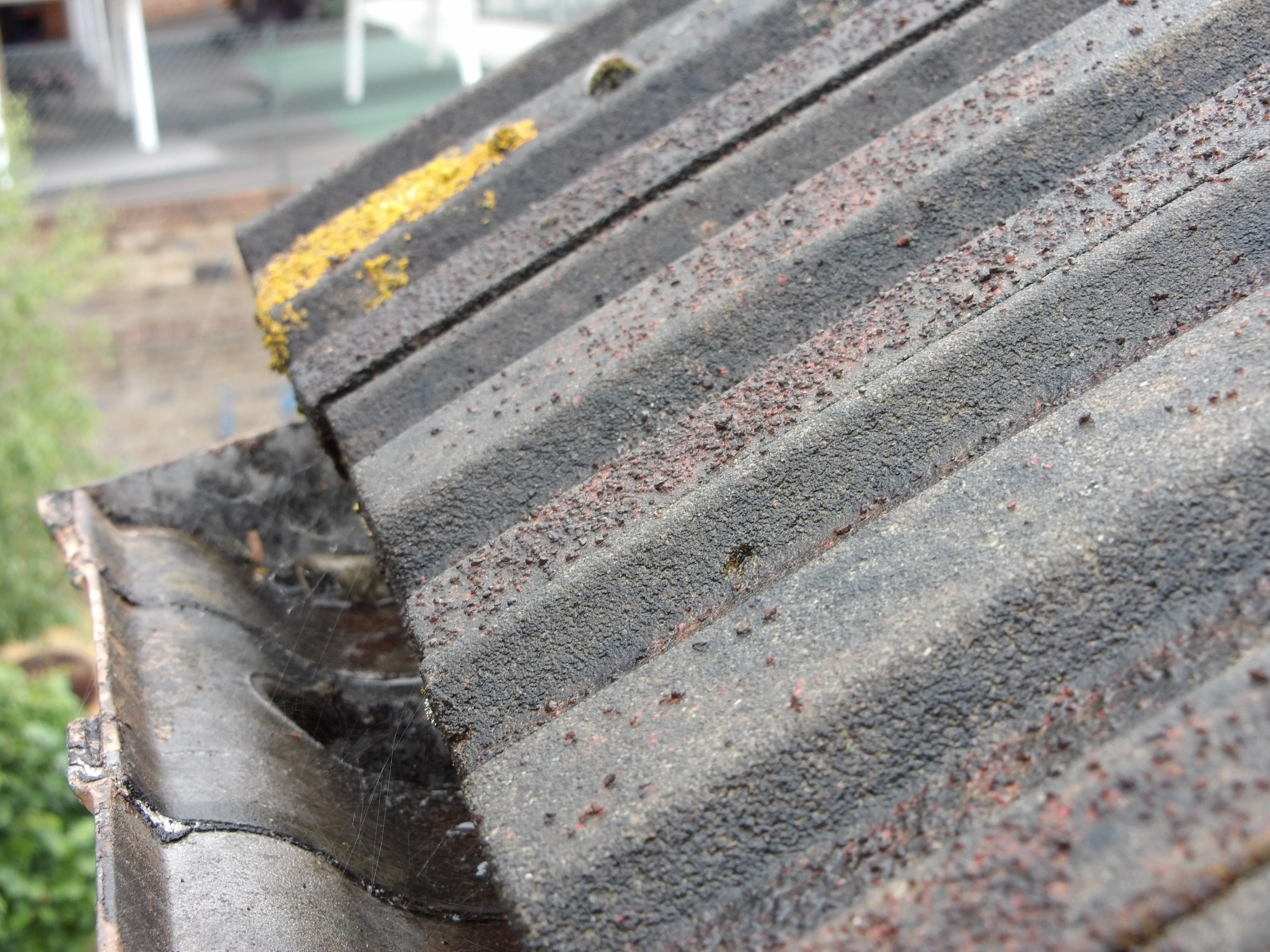 Telescopic camera inspection - roof tiles